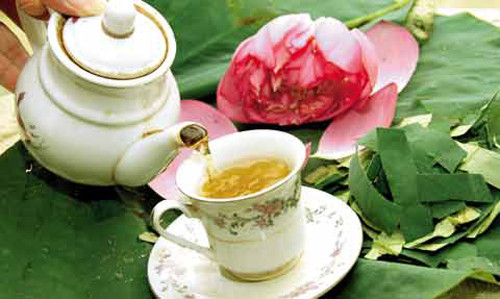 Đặc biệt, trà lá sen lợi tiểu nên có khả năng giúp cơ thể đào thải độc tố ra ngoài. Các chất trong lá sen góp phần thúc đẩy nhu động ruột, khiến thức ăn được vận chuyển nhanh hơn, không bị giữ lại lâu trong hệ tiêu hóa. Nhờ vậy, kiên trì uống trà lá sen sẽ giúp giảm cân hiệu quả.