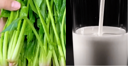 Rau bina và sữa là thực phẩm không nên dùng chung. Sự kiêng kị này bắt nguồn từ việc rau bina chứa lượng lớn axit oxalic. Trong khi đó, sữa chứa nhiều canxi, kết hợp với axit oxalic trong rau bina dễ tạo thành kết tủa không tan, ảnh hưởng đến quá trình hấp thụ canxi. (Ảnh: Sohu, minh họa)