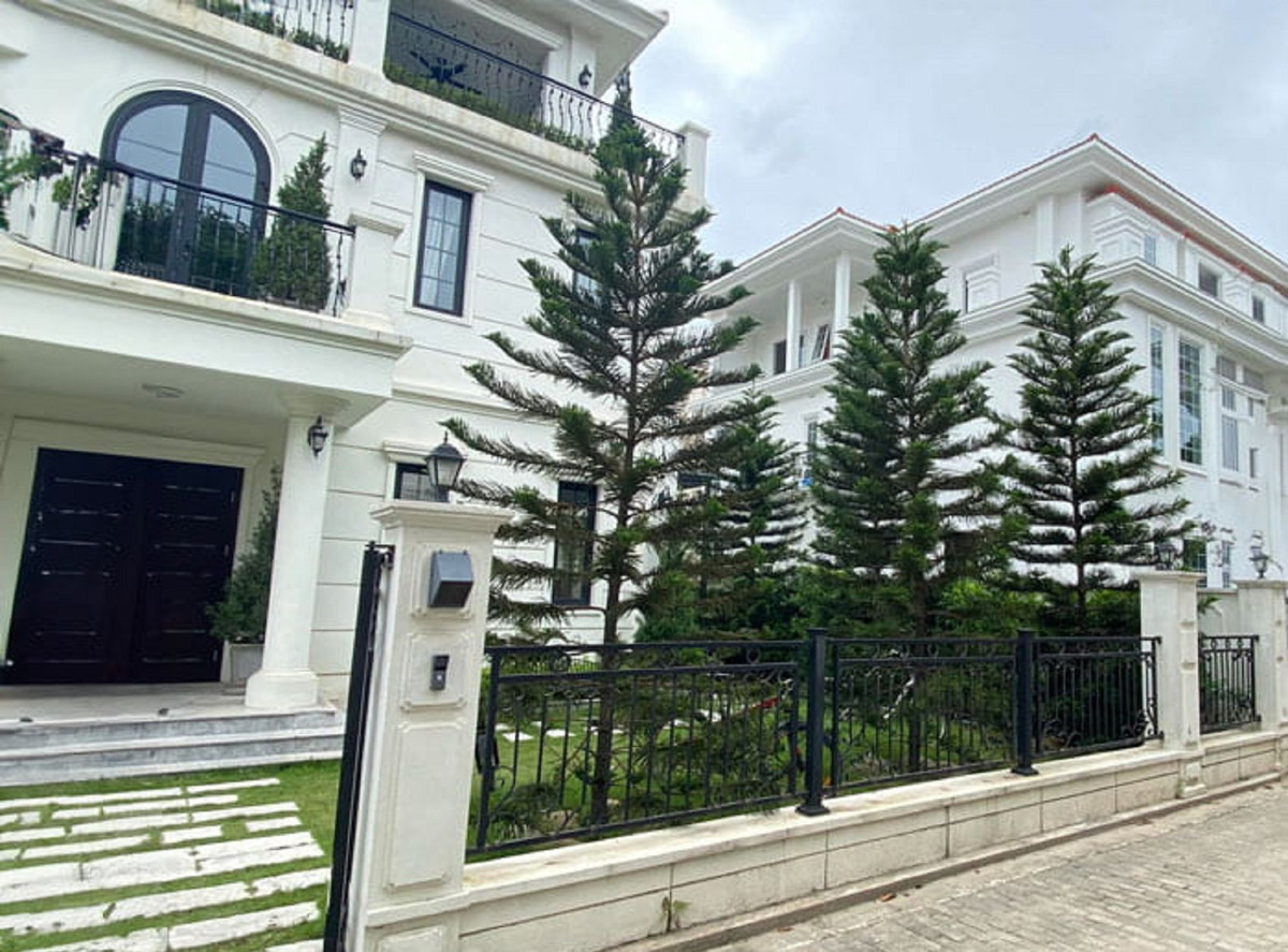 Cây bách tuy xanh tươi quanh năm nhưng hình dáng trang nghiêm, mang lại cho người ta cảm giác trang trọng thái quá và không thoải mái. Ảnh: Land&amp;View