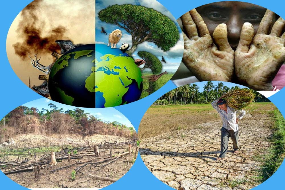 Tuy nhiên, mặc dù công nghệ của con người đã phát triển nhanh chóng nhưng con người cũng đã mang lại sự ô nhiễm nghiêm trọng cho môi trường trái đất. Từ đó sẽ có ít không gian cho sự sinh tồn của con người.