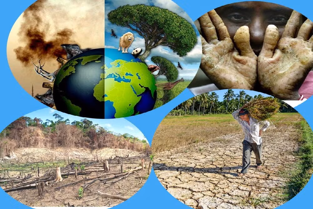 Tuy nhiên, mặc dù công nghệ của con người đã phát triển nhanh chóng nhưng con người cũng đã mang lại sự ô nhiễm nghiêm trọng cho môi trường trái đất. Từ đó sẽ có ít không gian cho sự sinh tồn của con người.