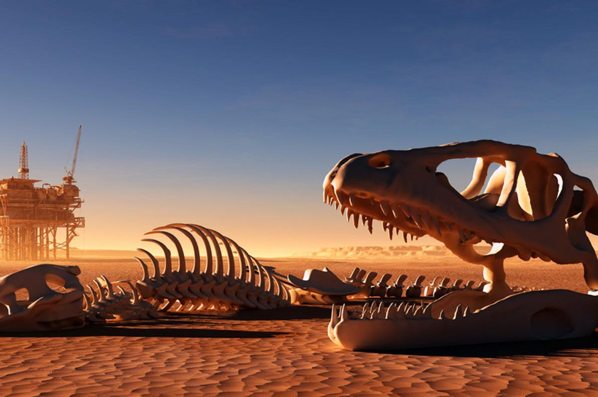 Đến lúc đó, các sinh vật trên trái đất có thể sẽ mở ra đợt tuyệt chủng hàng loạt lần thứ sáu, qua nghiên cứu, các nhà khoa học đã phát hiện ra rằng trong những năm dài tồn tại trên trái đất, các sinh vật trên trái đất đã trải qua tổng cộng 5 lần tuyệt chủng hàng loạt và hàng chục triệu sinh vật đã bị diệt vong.