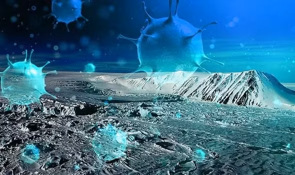 Vào thời điểm đó, do công nghệ kém phát triển, hầu hết mọi người chỉ có thể dựa vào sức đề kháng của chính mình nếu bị nhiễm virus. 