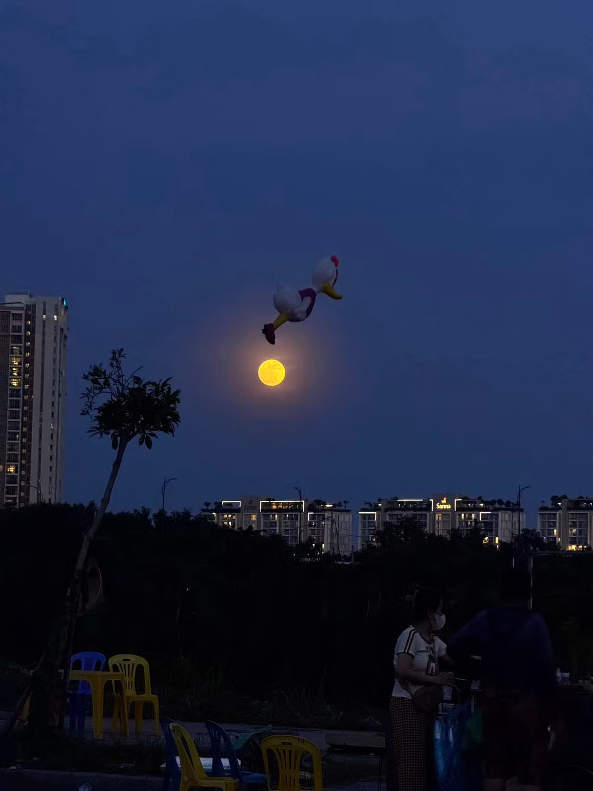 Một bạn trẻ ghi lại cảnh siêu trăng cùng với quả bóng bay hình vịt Donal - Ảnh: FB Nhị Đặng