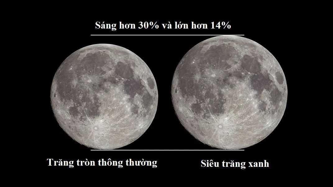 Trong lần siêu trăng xanh lần này, Mặt trăng to hơn thông thường 14% và sáng hơn 30%. Đồ họa: Tuệ Minh