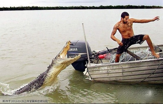 Cá sấu lặng lẽ trong nước, tiếp cận nạn nhân một cách âm thầm và tạo ra bất ngờ với những cú táp siêu tốc. Khi bị cắn, cá sâu sẽ lôi nạn nân xuống nước, quay nhiều vòng cho đến khi bị đuối sức, gãy xương và tử vong.