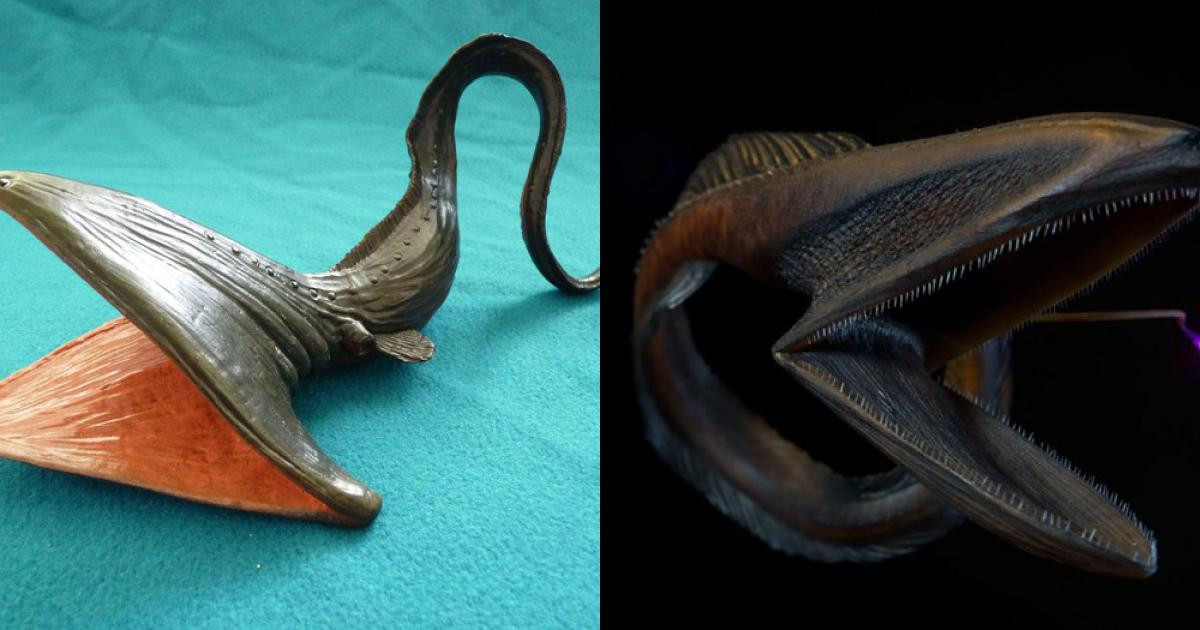  Một số loài có thể phát triển đến 2m, nhờ cái miệng lớn đến siêu dị, chúng có thể nuốt con mồi to hơn cơ thể chúng. Hiện giới khoa học phát hiện được tới 28 loài cá rắn khổng lồ này.