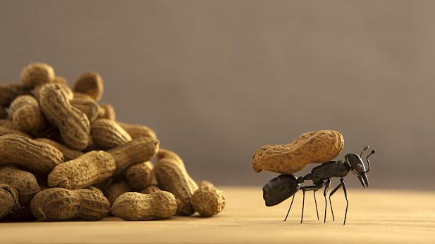 Chúng ta học cách biết ơn, biết ơn những thử thách đã khiến chúng ta mạnh mẽ hơn, biết ơn những người bạn đồng hành đã mang đến cho chúng ta sự ấm áp, và càng biết ơn hơn với sự non nớt nhưng không bao giờ từ bỏ bản thân.