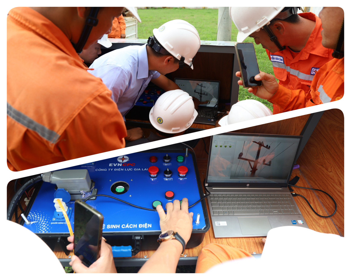 Trí thức trẻ góp phần phát triển trình độ KH&CN của Quảng Ngãi - Hình 3 Tri thuc tre gop phan phat trien trinh do KH&CN cua Quang Ngai-Hinh-3