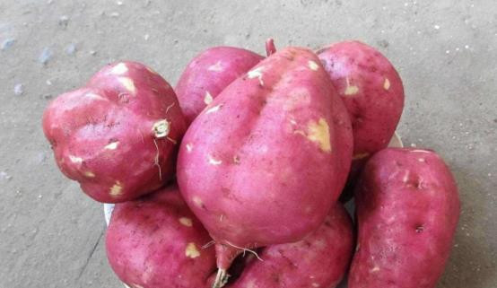 Khong duoc an ba loai thuc pham nay voi chuoi neu khong se hoi han ca doi-Hinh-3