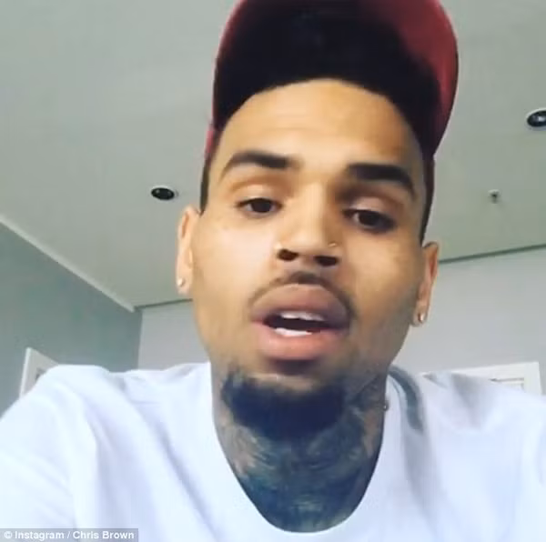 Rapper Chris Brown bi bat vi di sung vao dau hoa hau-Hinh-3