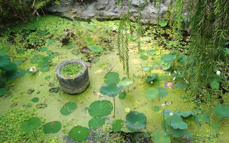 Đến chùa Biện Sơn, du khách có thể bắt gặp những góc nhỏ bình dị, gần gũi với cuộc sống đời thường. Ảnh: Báo Vĩnh Phúc.