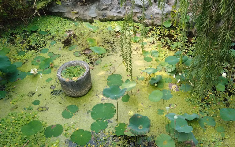 Đến chùa Biện Sơn, du khách có thể bắt gặp những góc nhỏ bình dị, gần gũi với cuộc sống đời thường. Ảnh: Báo Vĩnh Phúc.