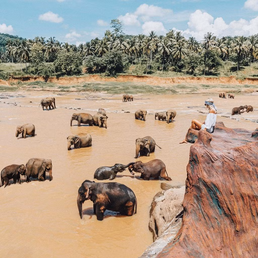 2 năm đầu tiên là quãng thời gian khó khăn với Morris khi anh phải vật lộn với nhiều công việc khác nhau. Mọi thứ bắt đầu thay đổi khi anh đủ tiền mua một chiếc máy ảnh và đăng những tấm hình lên blog cá nhân Do you travel.