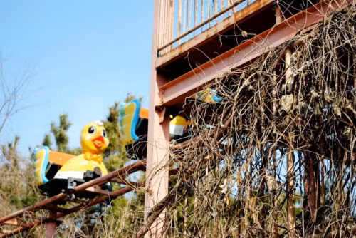 Khoảng năm 1999, một tại nạn tương tự đã xảy ra với đoàn tàu vịt từng gặp nạn trước đó, nhưng lần này thì thảm khốc hơn. Đoàn tàu đã trật khỏi đường ray và bị lật úp, khiến một bé gái tử vong tại hiện trường và nhiều người bị thương nặng.