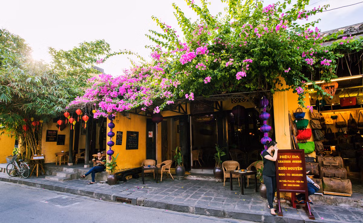 Hoa giấy có thể xem là một phần không thể thiếu của phố cổ Hội An. Đến phố Hội bất kỳ mùa nào trong năm, du khách cũng sẽ bắt gặp nhiều sắc màu hoa giấy trên khắp các tuyến phố, và có lẽ chỉ ở Hội An, hoa giấy mới đẹp rực rỡ và thanh khiết đến thế.