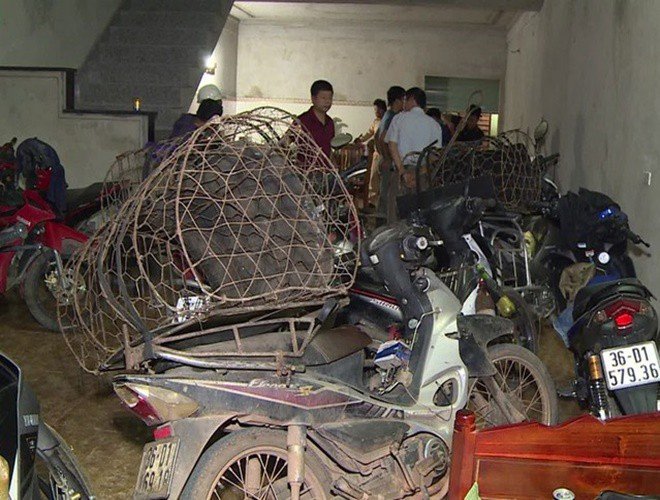 Tại Cơ quan công an, các đối tượng đã khai nhận đã thực hiện hành vi trộm cắp chó hơn một năm nay và tổng số lượng trộm cắp chó lên đến hàng trăm tấn.