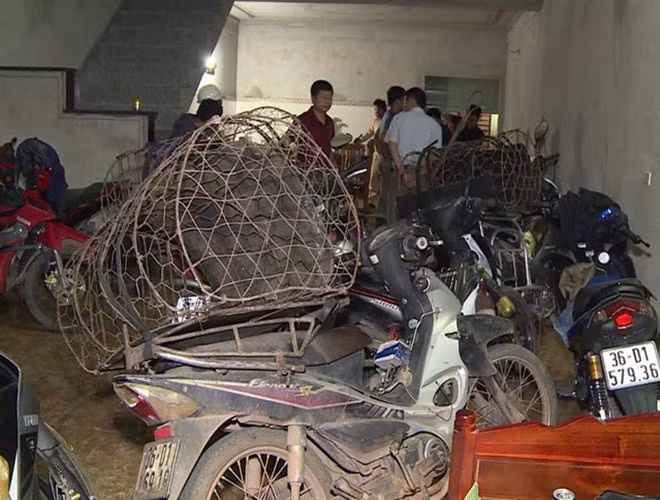 Tại Cơ quan công an, các đối tượng đã khai nhận đã thực hiện hành vi trộm cắp chó hơn một năm nay và tổng số lượng trộm cắp chó lên đến hàng trăm tấn.