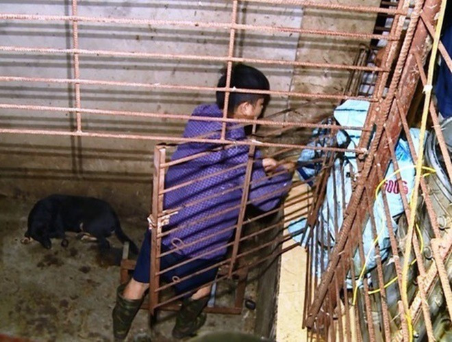 Máy vặt lông chó để ngay bên ngoài cửa để phục vụ việc giết mổ, làm thịt chuyển đến các điểm tiêu thụ.