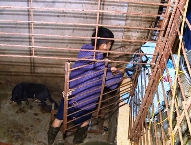 Máy vặt lông chó để ngay bên ngoài cửa để phục vụ việc giết mổ, làm thịt chuyển đến các điểm tiêu thụ.