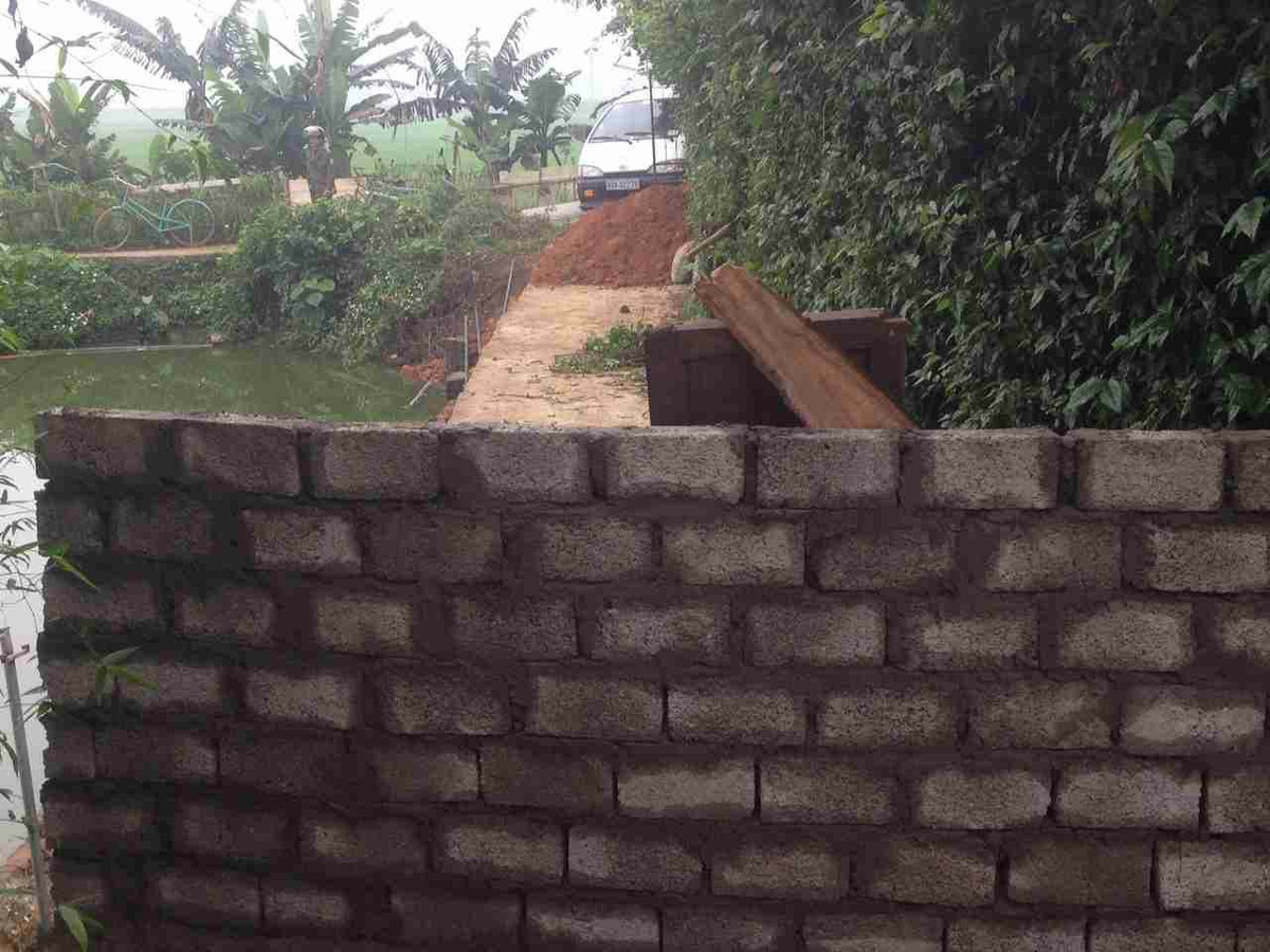 Trước đó, bố mẹ có sang nhượng cho Thơ 2.500 m2 đất ruộng, với giá 150 triệu đồng. Thơ trả trước 60 triệu đồng, phần tiền còn lại sẽ trả hết khi làm xong thủ tục sang nhượng. Thái không đồng ý, vì cho rằng giá chuyển nhượng cho anh trai thấp và đòi bán cho người khác với giá cao hơn (Ảnh minh họa).