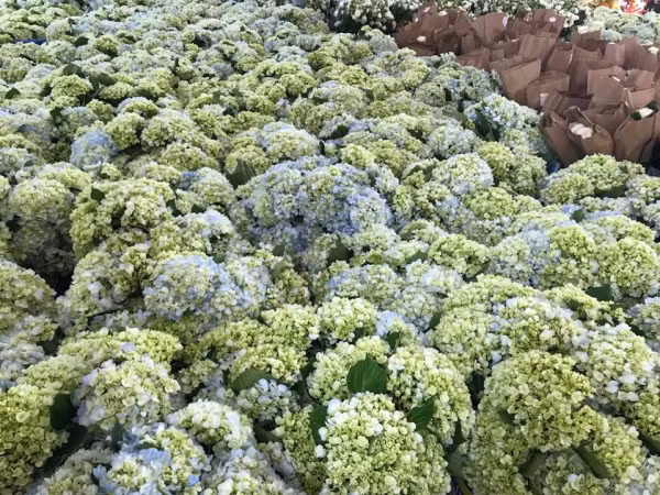 Để chuẩn bị cho đám cưới hoành tráng này, nhà hàng tổ chức tiệc cưới đã phải làm việc trước đó 20 ngày.