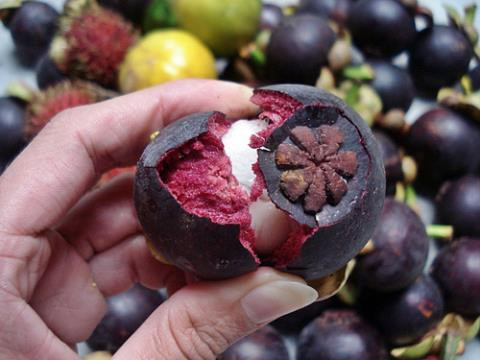 Bài thuốc từ vỏ măng cụt chữa tiêu chảy: Để chữa tiêu chảy bằng vỏ măng cụt, bạn lấy khoảng mười cái vỏ cho vào một nồi đất đậy thật kín, sau đó đun sôi cho đến khi nước có màu thật sẫm, uống mỗi ngày 3 - 4 chén.