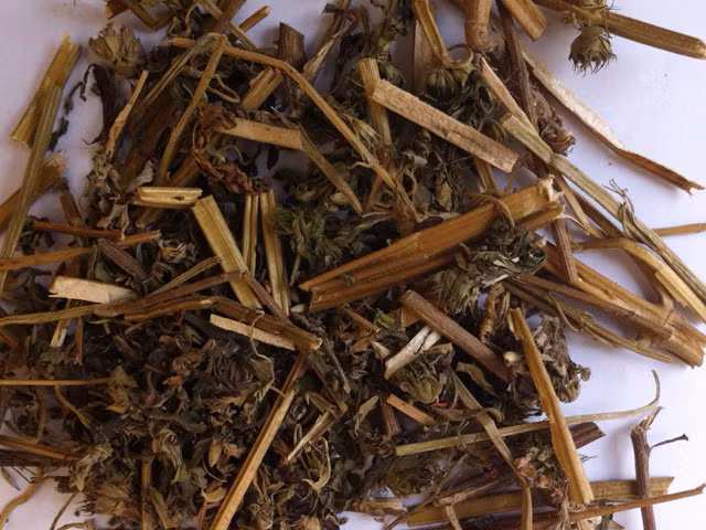 Ngoài ra bạn có thể kết hợp sài đất 20g, bồ công anh 16g, kinh giới, kim ngân, thổ phục linh mỗi thứ 12g, chỉ xác 8g, cam thảo nam 8g, bạc hà 6g. Sắc uống ngày một thang chia 3 lần.