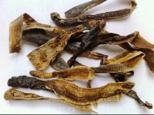 Bài thuốc này đã được một số nhà khoa học Nhật Bản và Trung Quốc kết luận là khá hiệu quả. Ảnh: Y học cổ truyền.