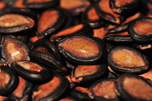 Hạt dưa hấu điều trị phì đại tuyến tiền liệt: Bài thuốc này được tạp chí European Journal đăng tải.