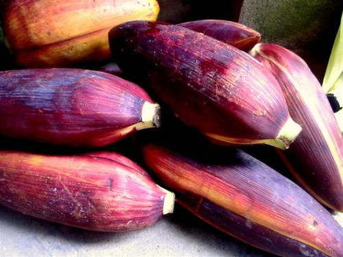 Hai bài thuốc trên nên uống và ăn kiên trì theo liệt trình 10 ngày liên tiếp sau đó nghỉ 5 ngày rồi lại tiếp tục dùng thuốc đến khi khỏi bệnh.