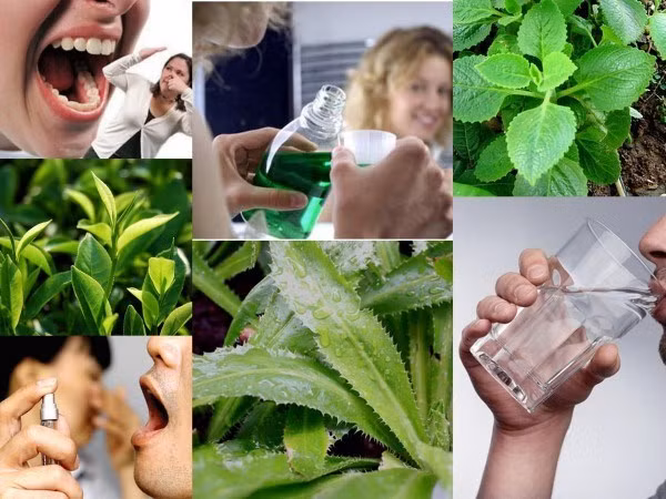 Chỉ cần áp dụng bài thuốc này liên tiếp sau khoảng 5 - 6 ngày là có công hiệu.