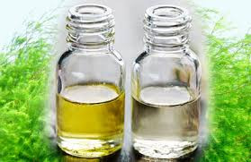 Bạn có thể nhỏ 1 - 2 giọt tinh dầu tràm vào bàn chải đánh răng để chải răng hàng ngày. Ngoài ra, xúc miệng bằng hỗn hợp tinh dầu tràm và nước cốt bạc hà có thể chữa bệnh hôi miệng nhanh chóng. Nguồn ảnh: Blog sức khỏe, Pinterest.