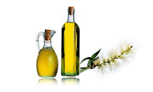 Trị hôi miệng bằng tinh dầu tràm cũng rất hiệu nghiệm.