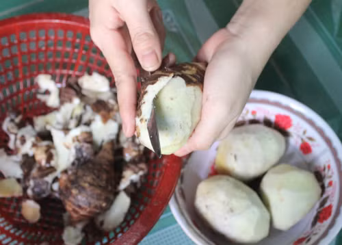 Khi đã có đủ nguyên liệu thì phải cho vào nồi sắc trong 2 giờ sau đó lọc lấy nước để uống ngày 1 lần. Người bị các bệnh u bướu vùng họng nên uống liên tục trong vòng 60 ngày sẽ cho tác dụng tốt.