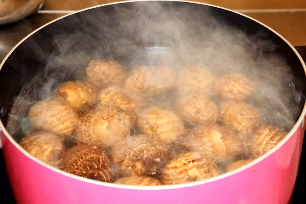 Bài thuốc từ khoai sọ cho người bị u bướu vùng họng. Nguyên liệu bài thuốc cần: 20g khoai sọ, 50g rễ kỷ tử.