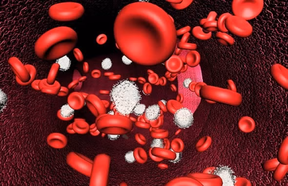 Nếu bạn đang mắc các bệnh như bệnh bạch cầu, bệnh suy tuỷ xương, bệnh máu khó đông, hay xuất huyết giảm tiểu cầu xuất huyết giảm tiểu cầu thì nguy cơ bị xuất huyết niêm mạc dạ dày kéo dài thậm chí nguy hiểm tính mạng rất cao. Nguồn ảnh: Dân Việt, Kênh sức khỏe.