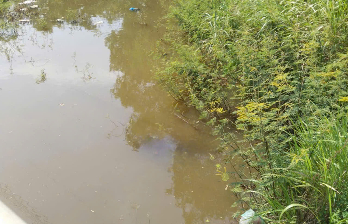 Phat hien thi the dan ong o tran duoi suoi Cau Giay