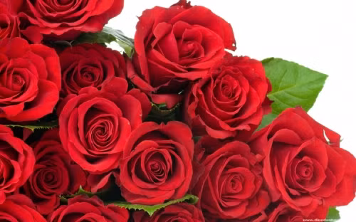 Vo ho gay xuong suon vi duoc chong tang hoa