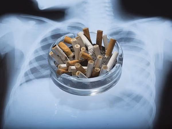 Các nghiên cứu khoa học trước đây cũng chứng minh được rằng tỏi có thể bảo vệ phổi cũng như tránh được một số loại ung thư khác như ung thư ruột. Tỏi cũng được cho là có tác dụng làm giảm viêm nhiễm trong cơ thể và có vai trò như một chất chống ôxy hóa, giảm tác hại của các gốc tự do.