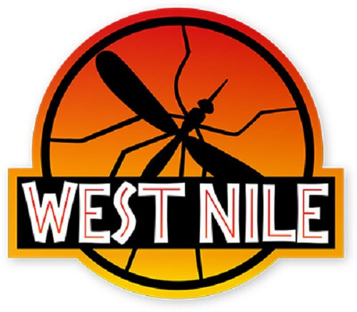 Nhiễm virus West Nile. Virus West Nile là do muỗi vằn gây nên. Bệnh này thường gặp ở các loài động vật và chim nhưng gần đây theo báo cáo cho biết virus này đã được tìm thấy trong tế bào con người. Nó lây lan qua nước bọt và lây từ mẹ sang con qua đường bú sữa. Các virus này ảnh hưởng đến quá trình lưu thông máu của cơ thể và gây thiệt hại các mô não đang hoạt động tốt. Trong một số trường hợp nặng, bệnh có thể dẫn đến co giật, hôn mê, thậm chí tử vong.