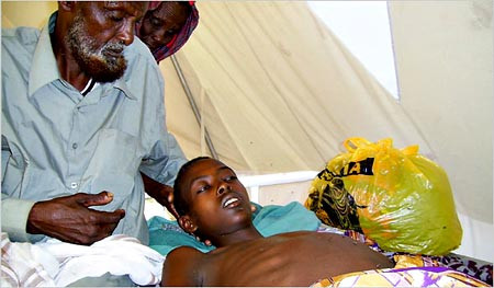 Bệnh sốt thung lũng Rift do virus RVF gây ra. Bệnh sốt thung lũng Rift chủ yếu ảnh hưởng đến động vật. Nhưng chúng cũng có thể lây truyền sang người và có ảnh hưởng rất khủng khiếp. Bệnh nhân sau khi nhiễm bệnh khoảng 10 ngày người bệnh thường có triệu chứng cúm, sốt, một số còn bị cứng cổ và khó chịu với ánh sáng. Khi bệnh nhân bị xuất huyết thì tỉ lệ tử vong cao, lên đến 50%. Hiện nay chưa có thuốc đặc trị và phòng ngừa virus RVF.