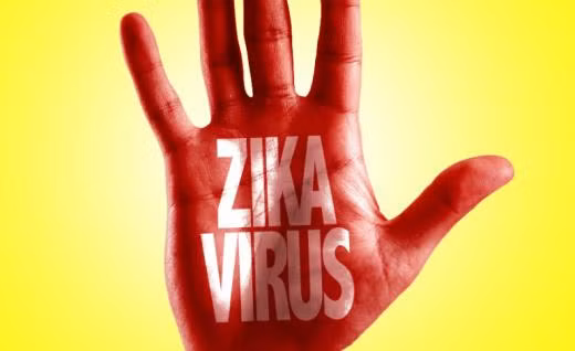 Theo WHO, có rất nhiều trường hợp bệnh nhân mắc bệnh Zika lại không có biểu hiện hay triệu chứng cụ thể gì. Chính điều này khiến cho khả năng lây lan truyền nhiễm bệnh càng cao, rất nguy hiểm đặc biệt trong khu vực thời tiết nhiệt đới.