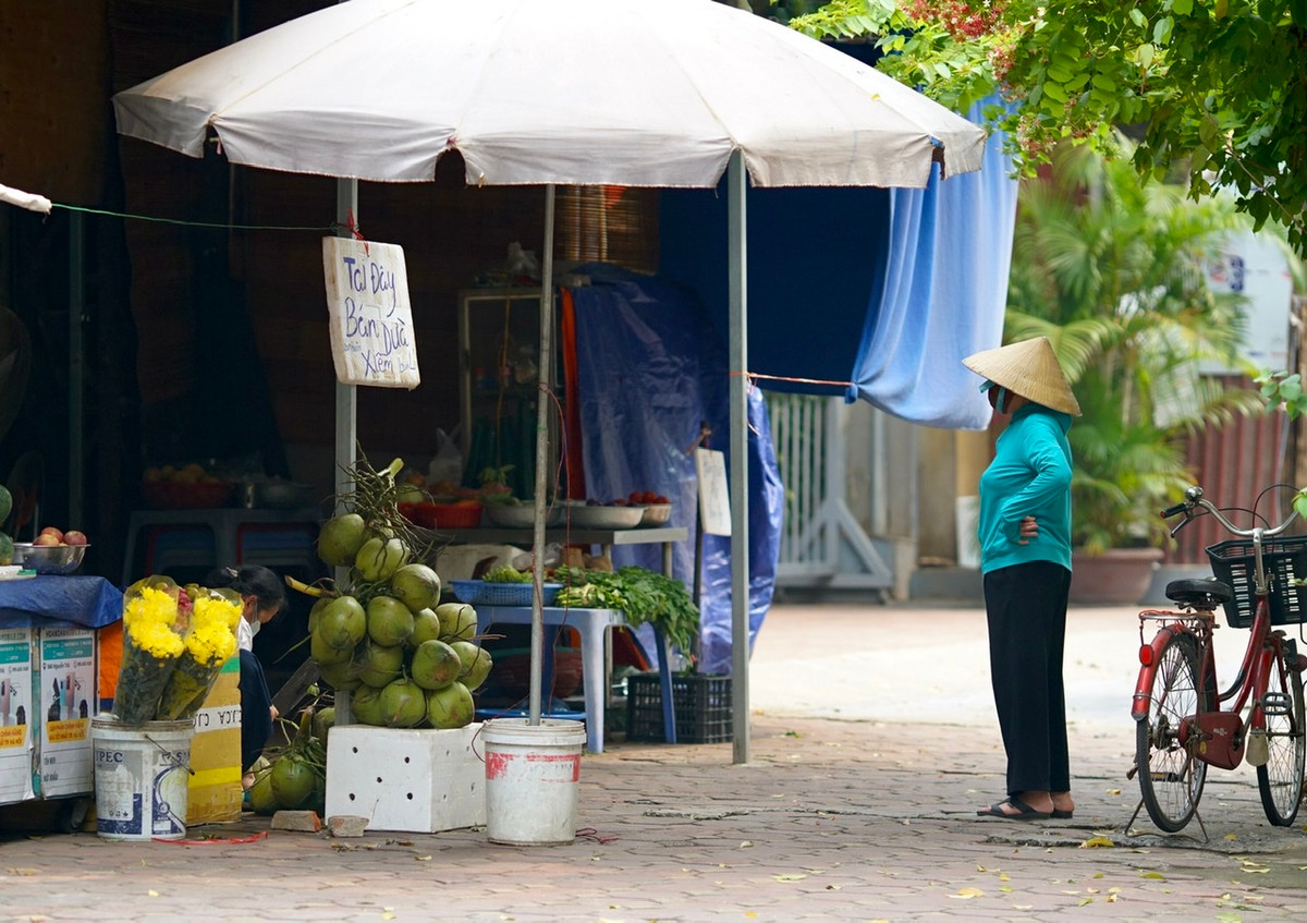 Chị Thanh Bình - nhà ở Nguyễn Trãi (Thanh Xuân, Hà Nội) cho biết: “Gia đình tôi chuẩn bị đi tiêm vắc xin tại phường, bạn tôi nói nên uống 1 quả dừa trước khi tiêm và 1 quả sau khi tiêm thì sẽ không bị sốt cao”.