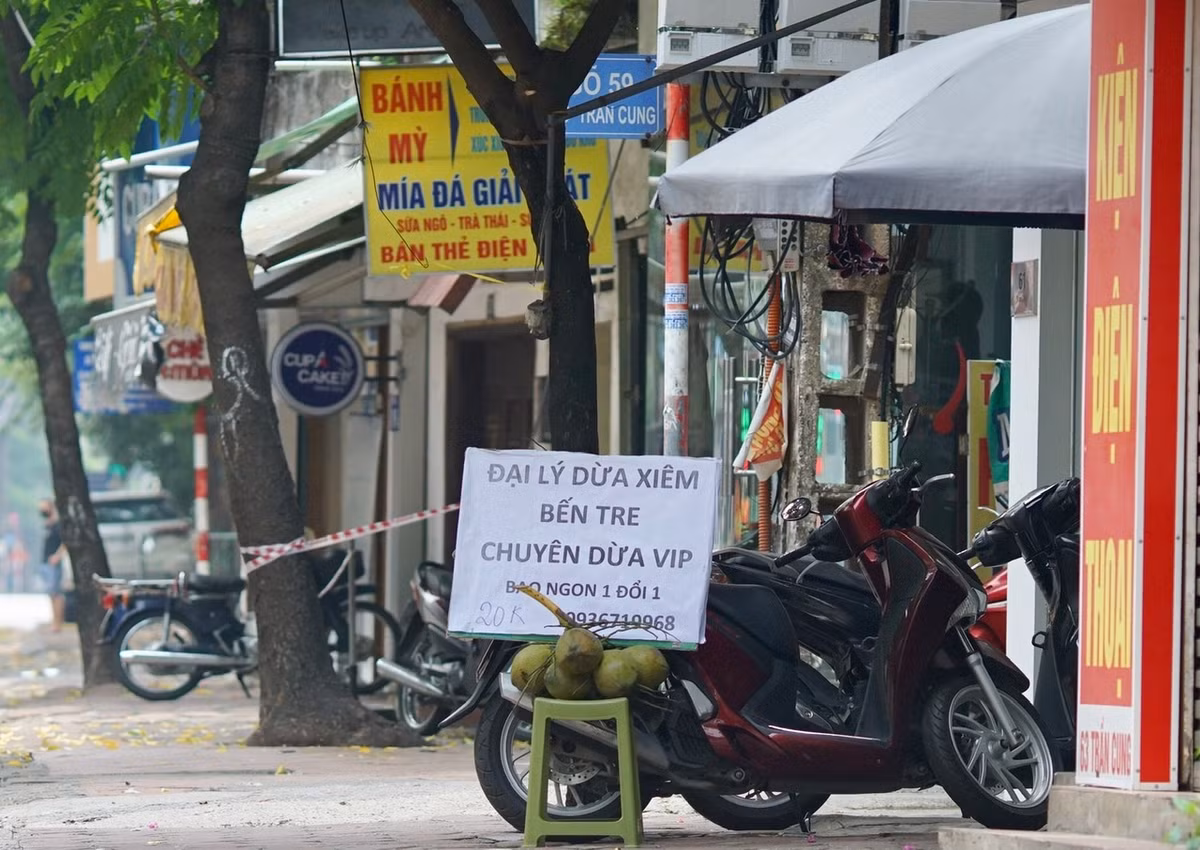 Do nhu cầu cao nên dừa bán chạy, chất lượng dừa cũng được đảm bảo. Nhiều hàng bán dừa “bao ngon”, “1 đổi 1” nếu dừa kém chất lượng.