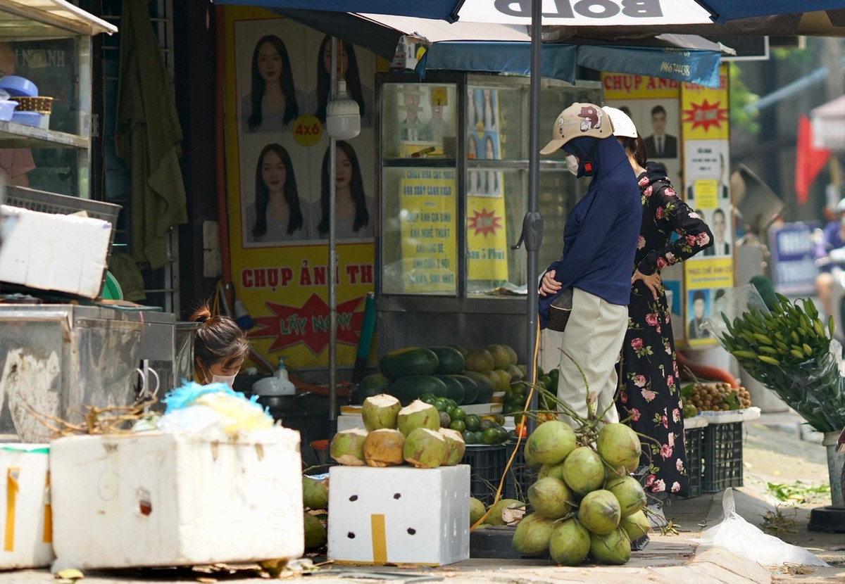 Ngoài dừa tươi, các hàng rau của Hà Nội những ngày này còn “cháy” tía tô và chanh tươi.