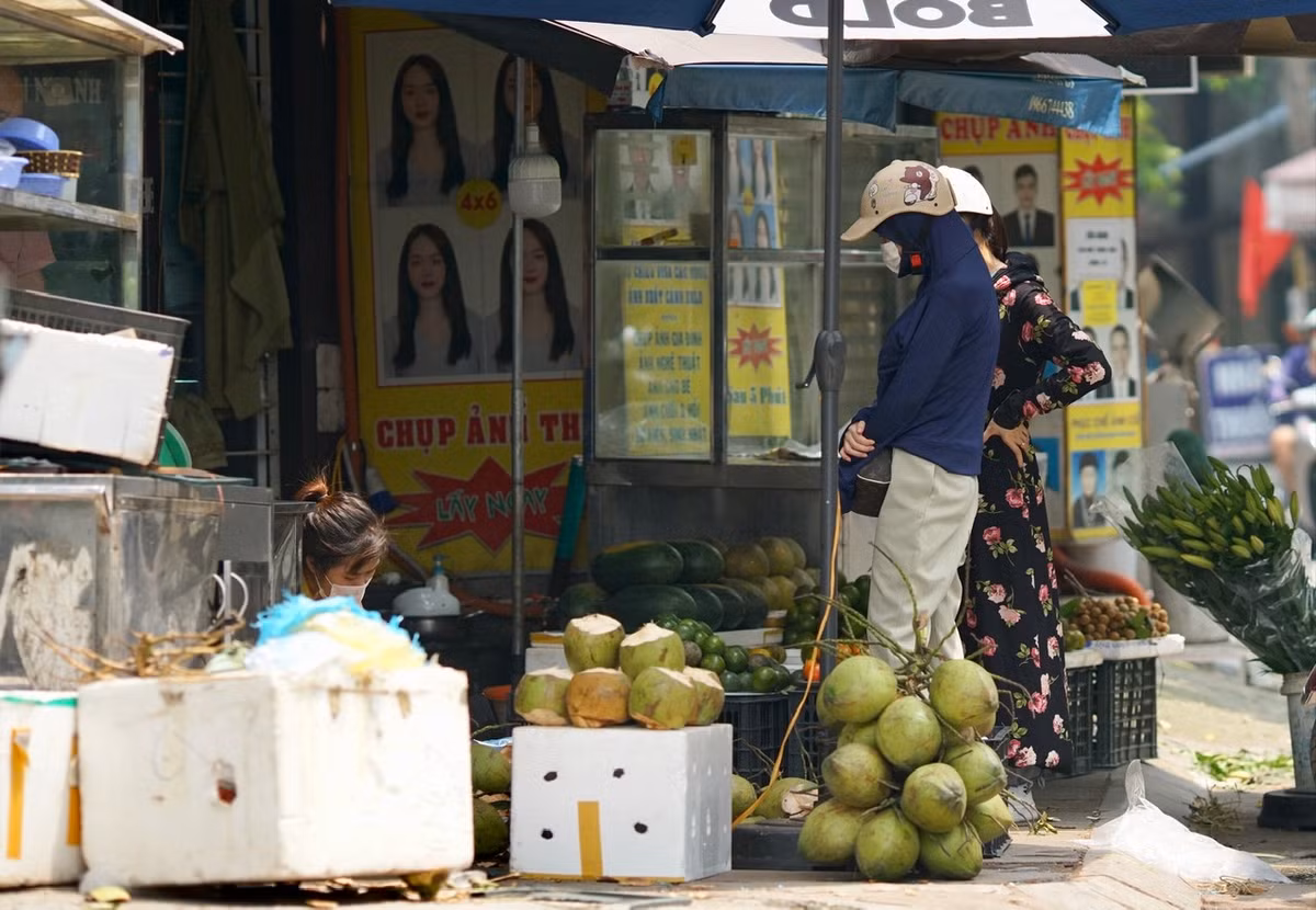 Ngoài dừa tươi, các hàng rau của Hà Nội những ngày này còn “cháy” tía tô và chanh tươi.