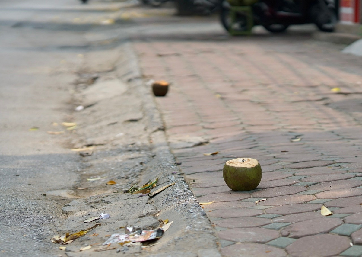 Trên đường phố Hà Nội những ngày gần đây xuất hiện rất nhiều hàng bán dừa tươi.