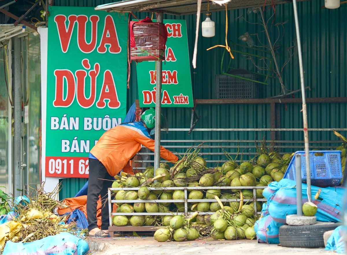 Nhiều người cho rằng nước dừa là thực phẩm rất tốt giúp bù nước, ổn định thể trạng cho người tiêm vắc xin.