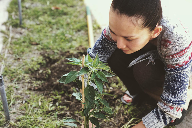 Làm dâu ở Mỹ, Kim Hiền có một khu vườn nhỏ và thường tự tay trồng, chăm sóc cây cối.